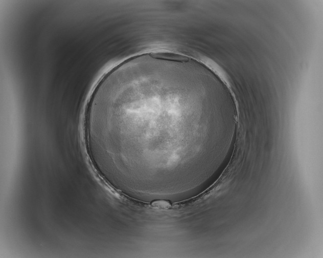 X0000116581104200912171519