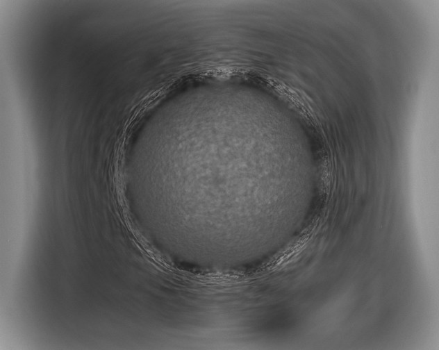 X0000116581105200912171518