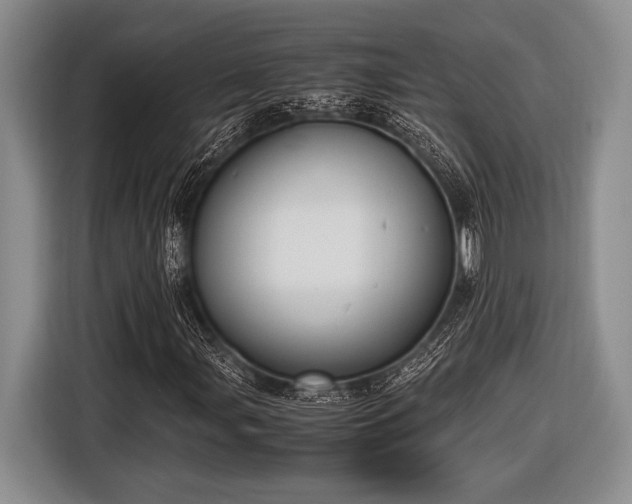 X0000116581107200912171518