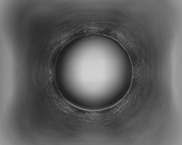 X0000116581109200912171518