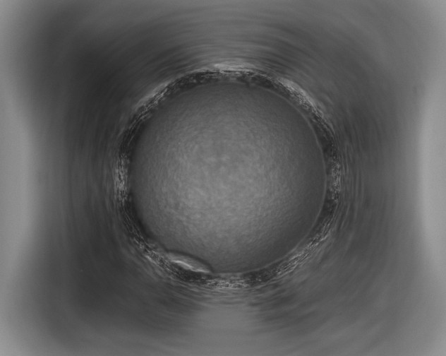 X0000116581110200912171518