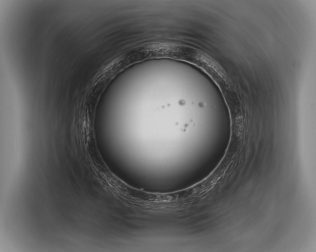 X0000116581111200912171518