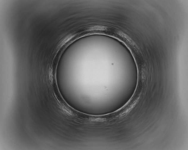 X0000116581113200912171518