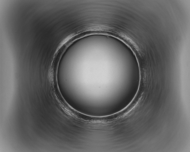 X0000116581114200912171518