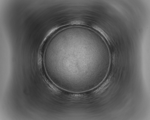 X0000116581115200912171518