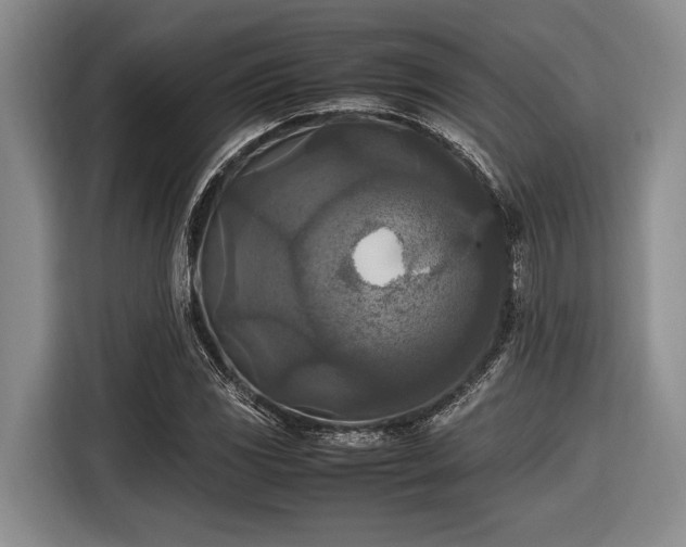 X0000116581117200912171518