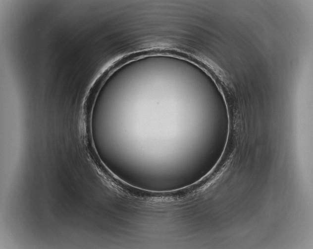 X0000116581118200912171518