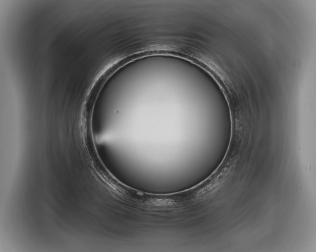 X0000116581119200912171518