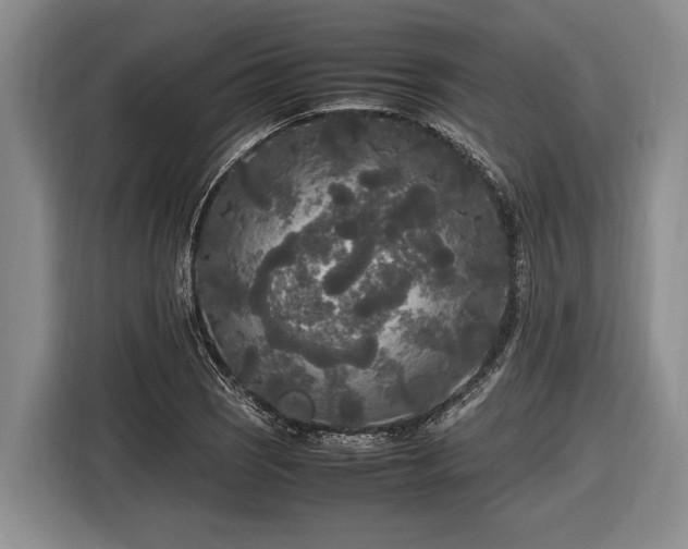 X0000116581121200912171518