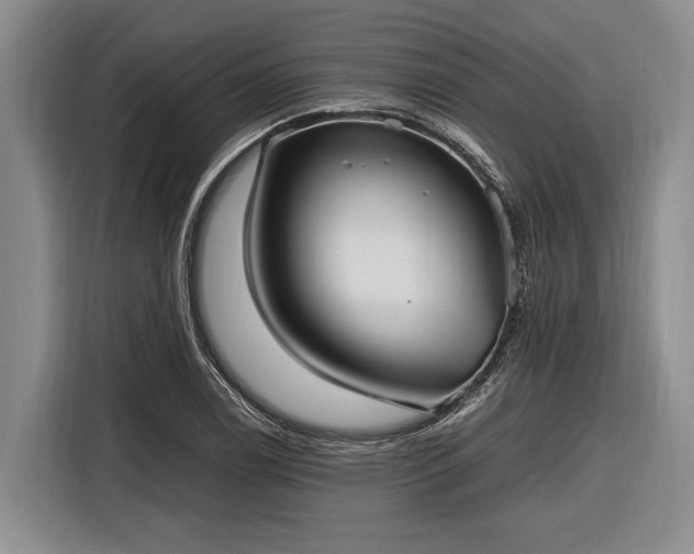 X0000116581122200912171518