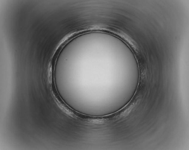 X0000116581126200912171518