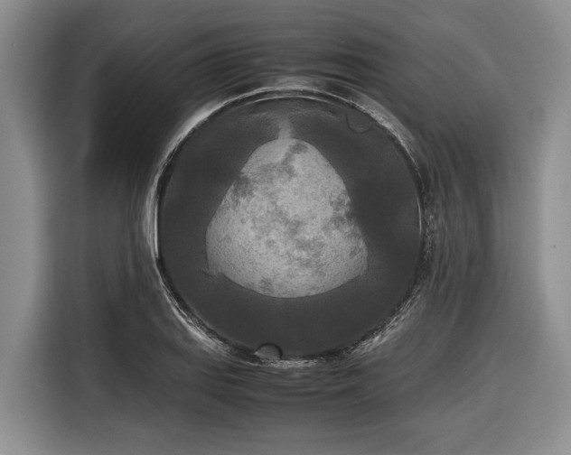 X0000116581127200912171518