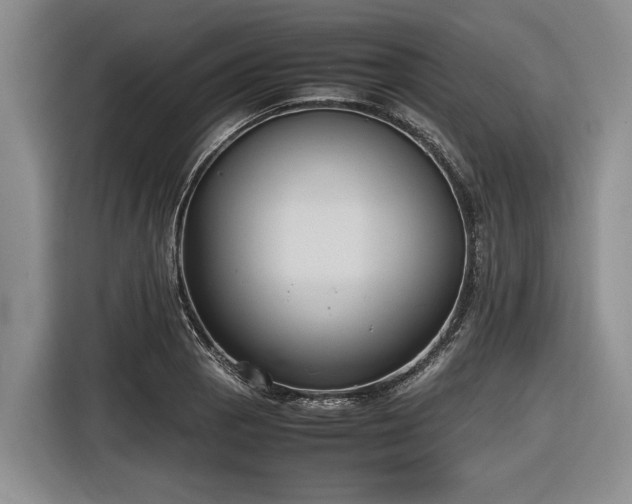 X0000116581129200912171518