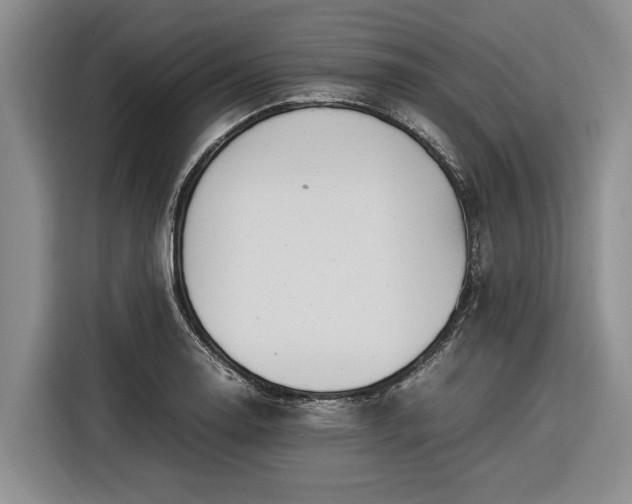 X0000116581130200912171518