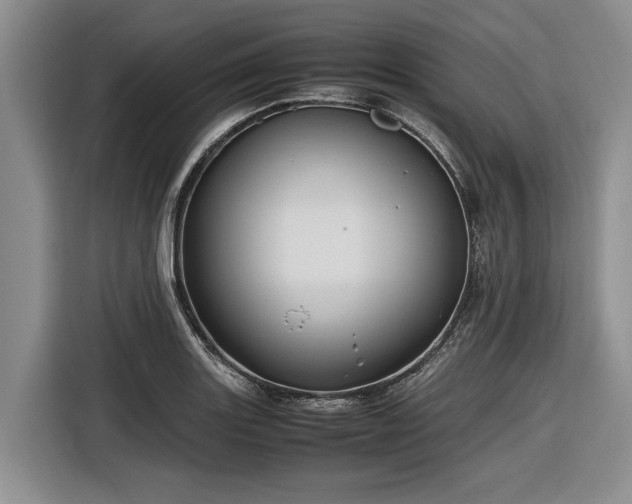 X0000116581131200912171518