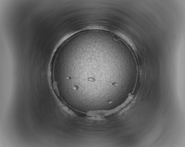 X0000116581133200912171518