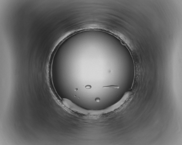 X0000116581134200912171518