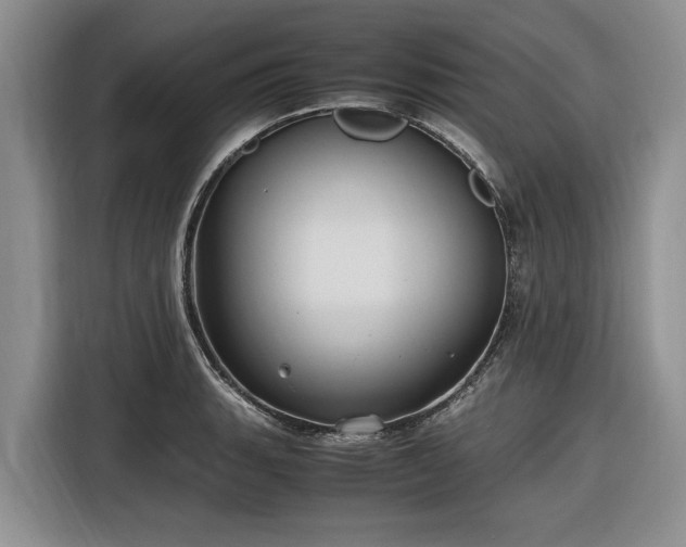 X0000116581135200912171518