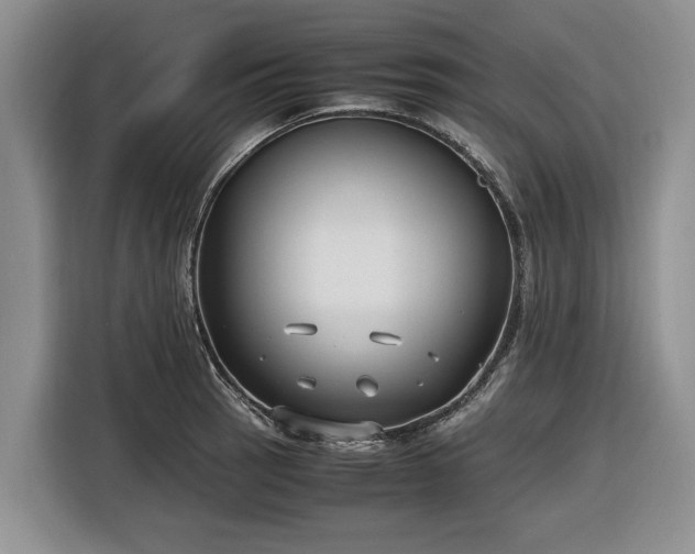 X0000116581137200912171518