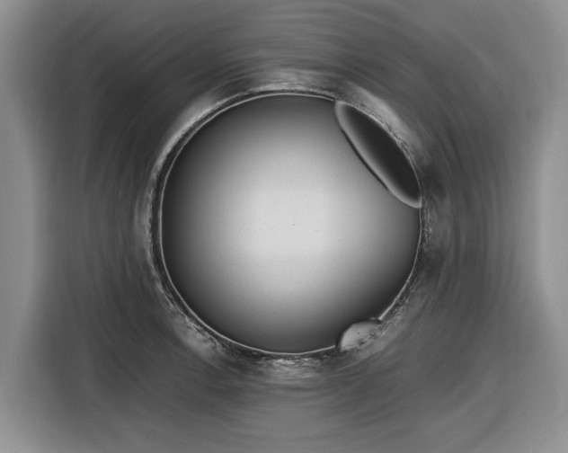 X0000116581138200912171518