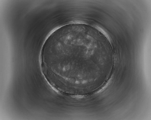 X0000116581141200912171518