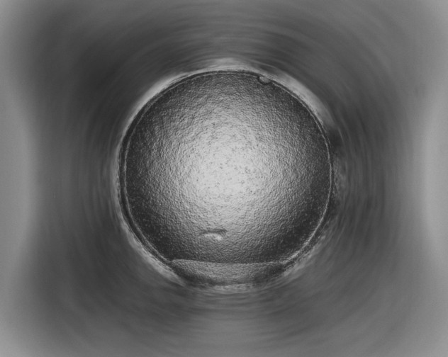 X0000116581142200912171518