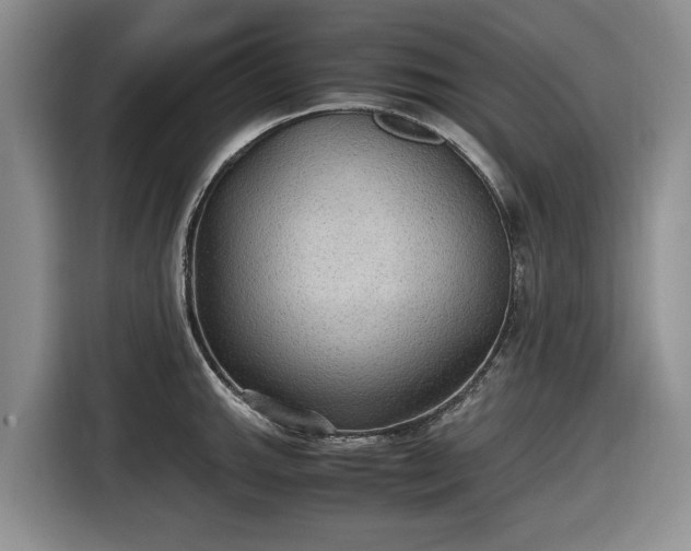 X0000116581143200912171518