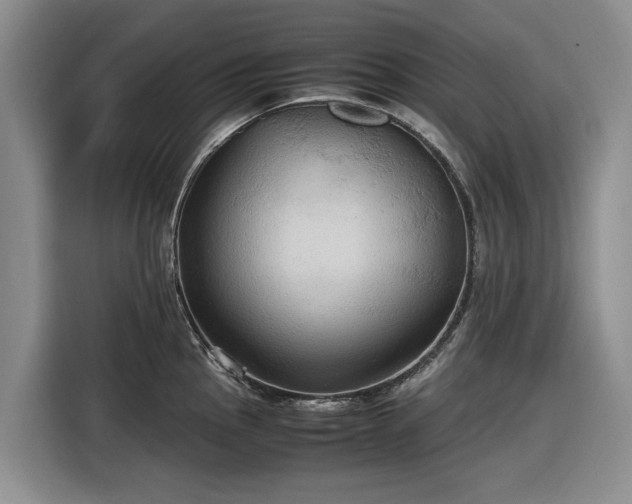 X0000116581145200912171519