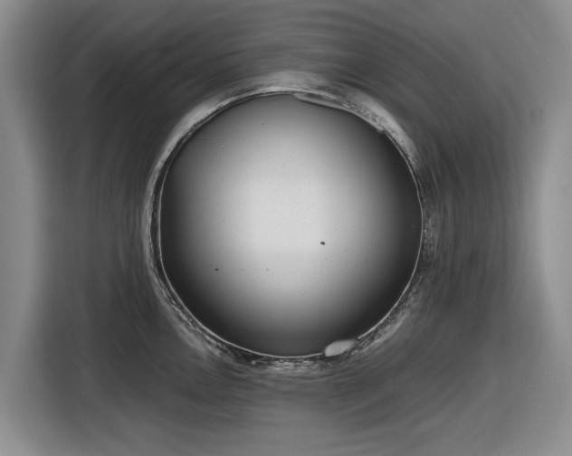 X0000116581146200912171519