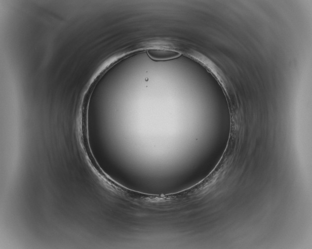 X0000116581147200912171519