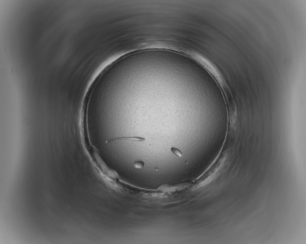 X0000116581149200912171519