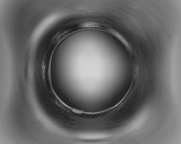 X0000116581151200912171519