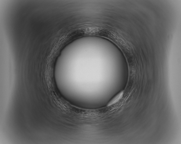 X0000116581153200912171518