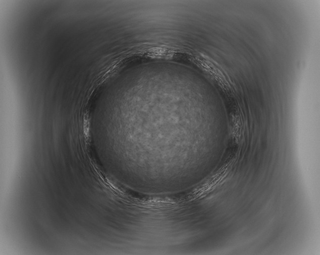 X0000116581154200912171518