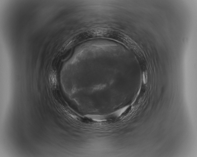 X0000116581155200912171518