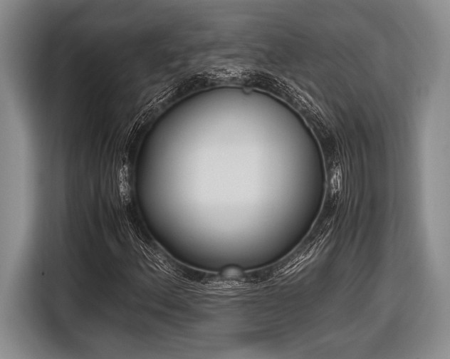 X0000116581156200912171518