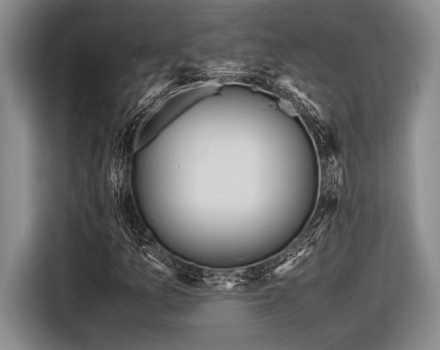 X0000116581157200912171518