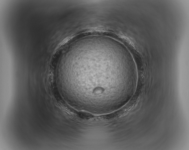 X0000116581159200912171518