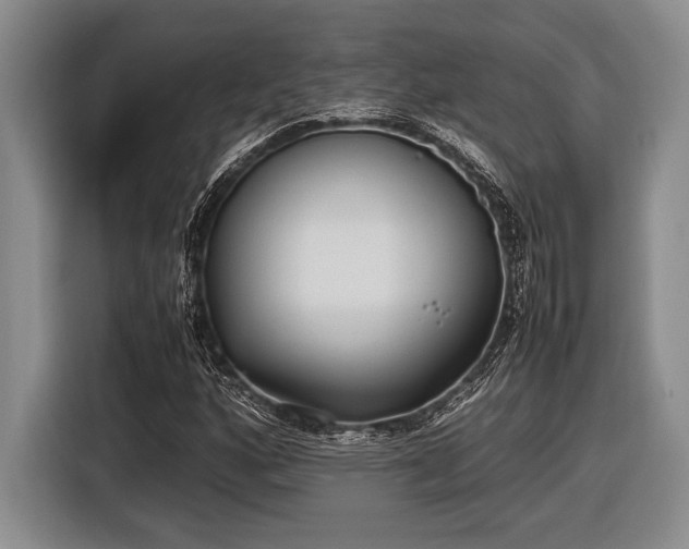 X0000116581160200912171518