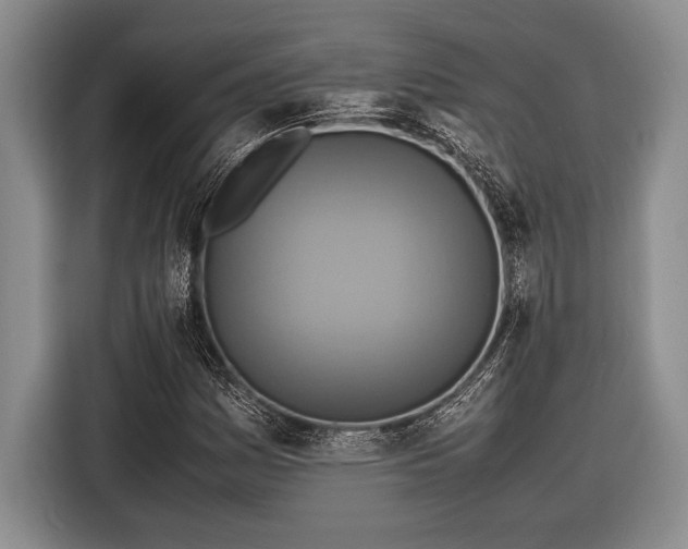 X0000116581161200912171518