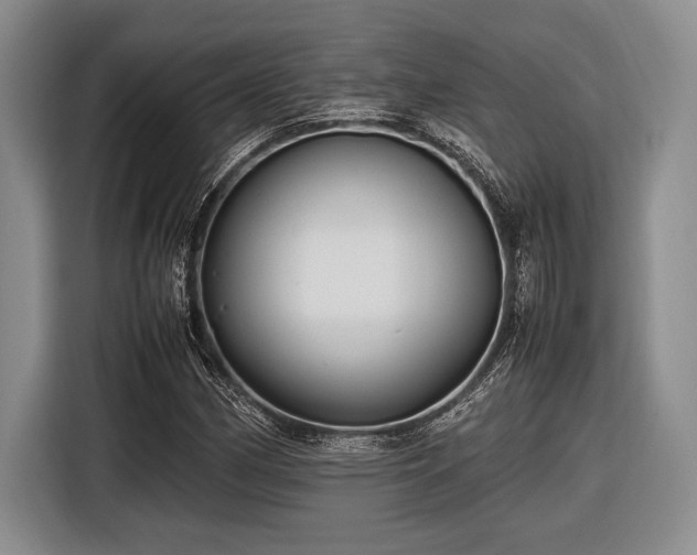 X0000116581162200912171518