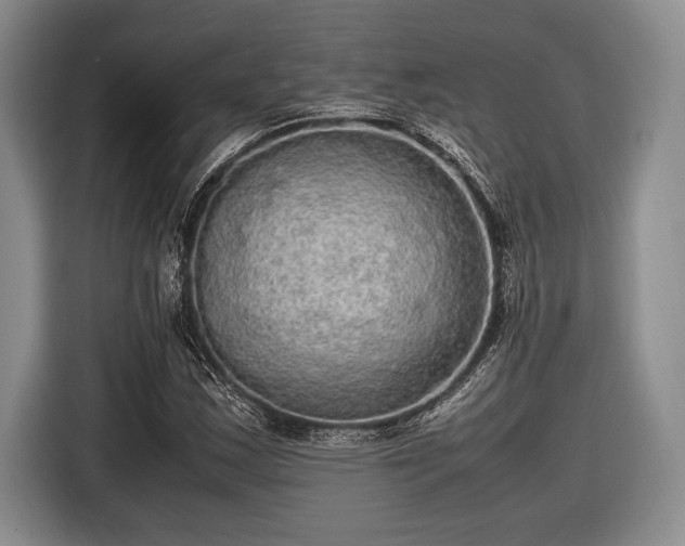 X0000116581163200912171518