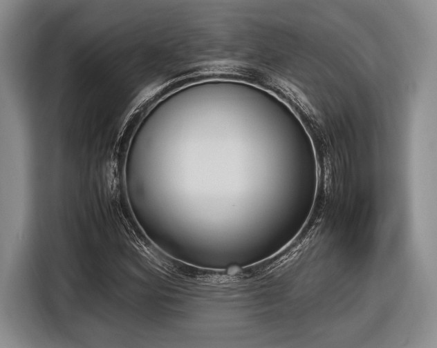 X0000116581164200912171518