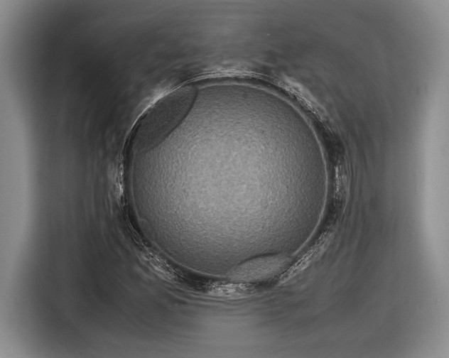 X0000116581165200912171518