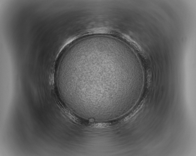 X0000116581166200912171518