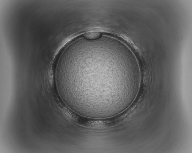 X0000116581167200912171518