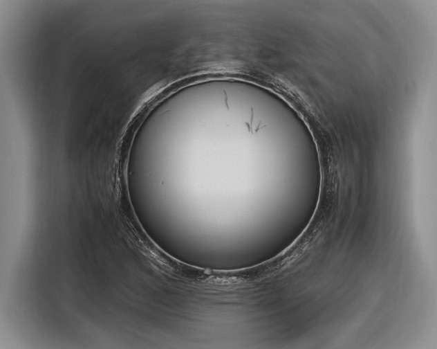 X0000116581168200912171518