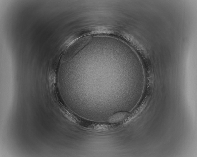 X0000116581169200912171518