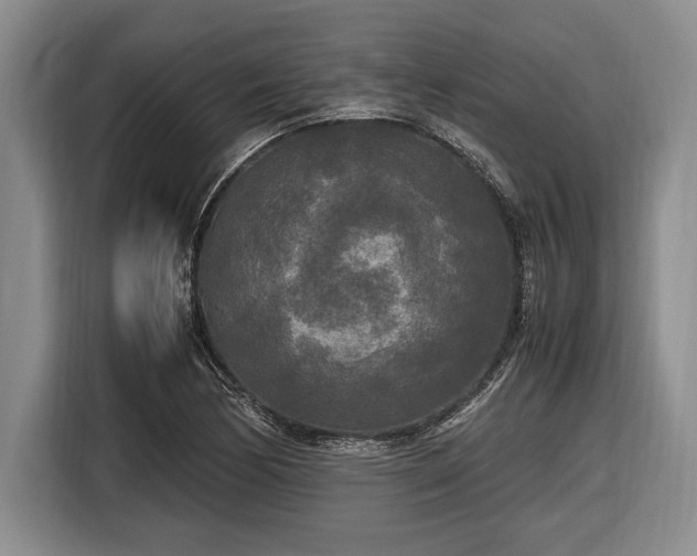 X0000116581170200912171518