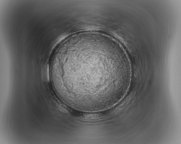 X0000116581171200912171518